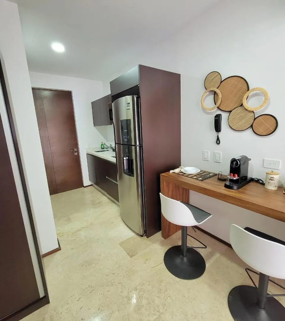 公寓 Condo Terra & Mare En El Corazon De 图卢姆