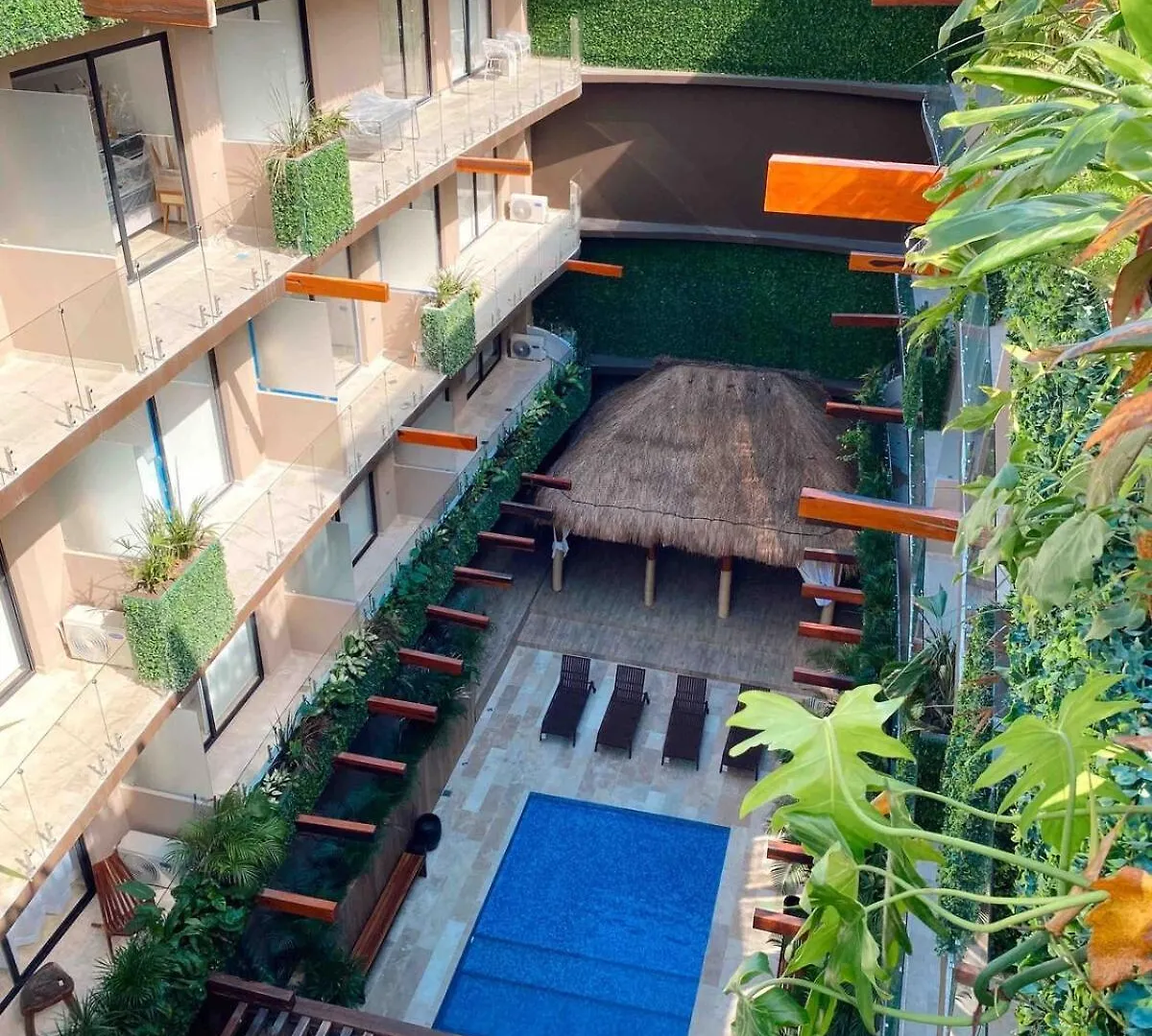 Condo Terra & Mare En El Corazon De 图卢姆